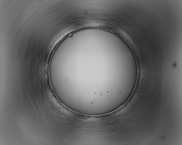 X0000116681178200912291713