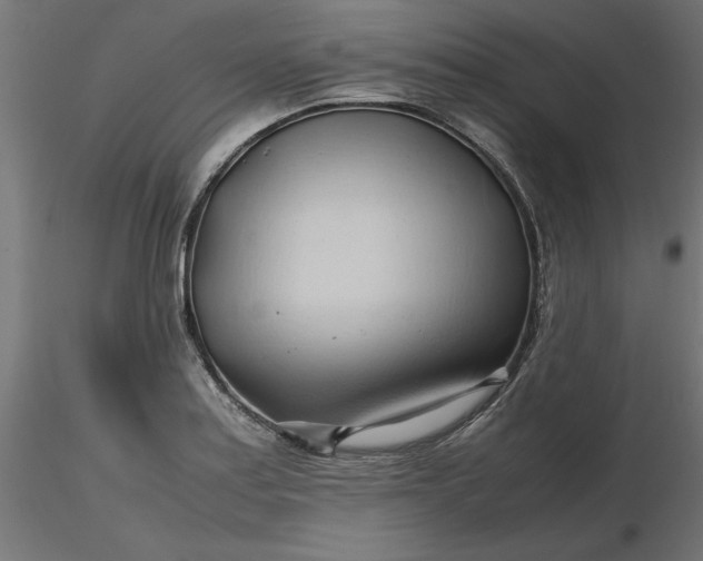 X0000116681179200912291713