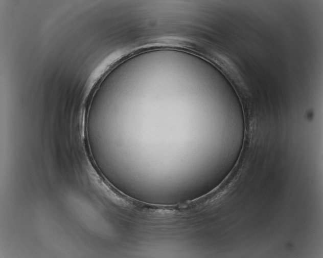 X0000116681180200912291713