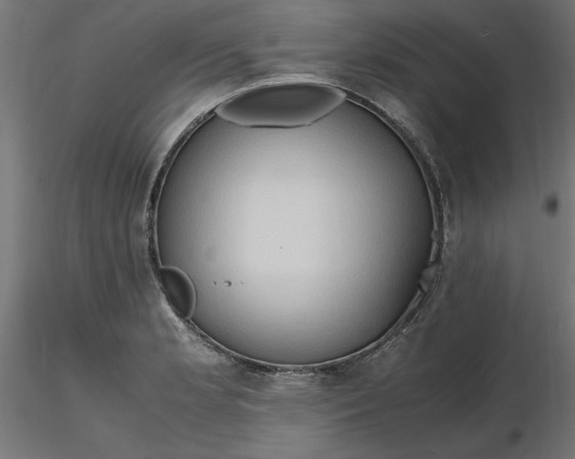 X0000116681181200912291713