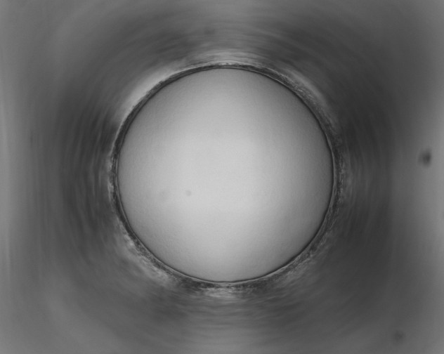 X0000116681182200912291713