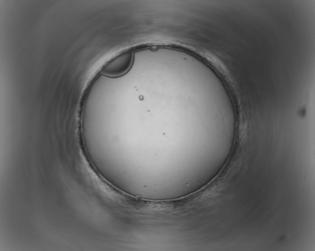 X0000116681183200912291713