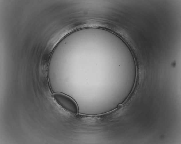 X0000116681185200912291713