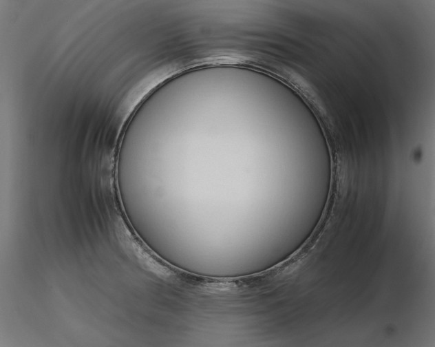 X0000116681186200912291713