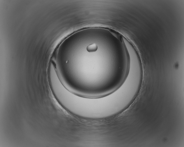 X0000116681189200912291713