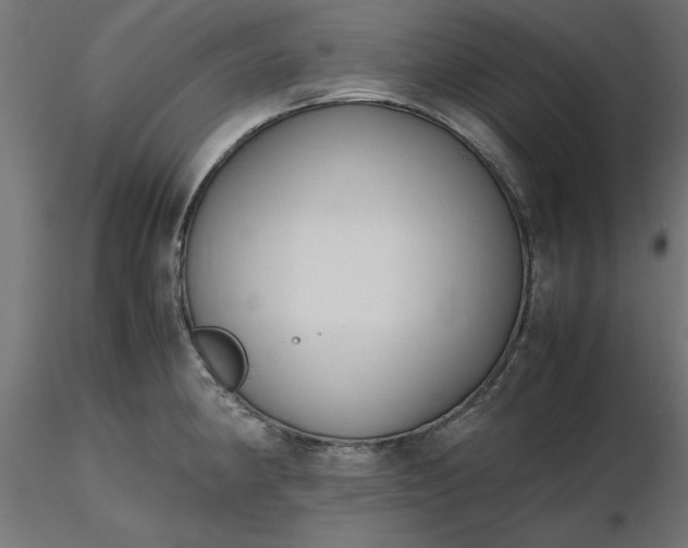 X0000116681190200912291713