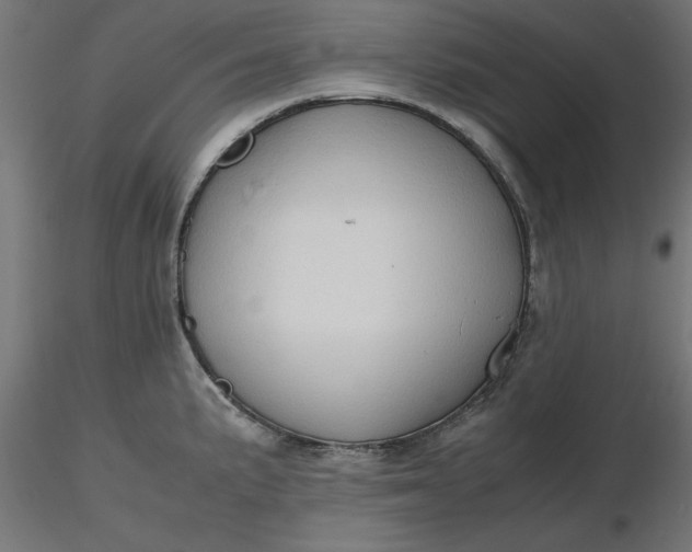 X0000116681191200912291713