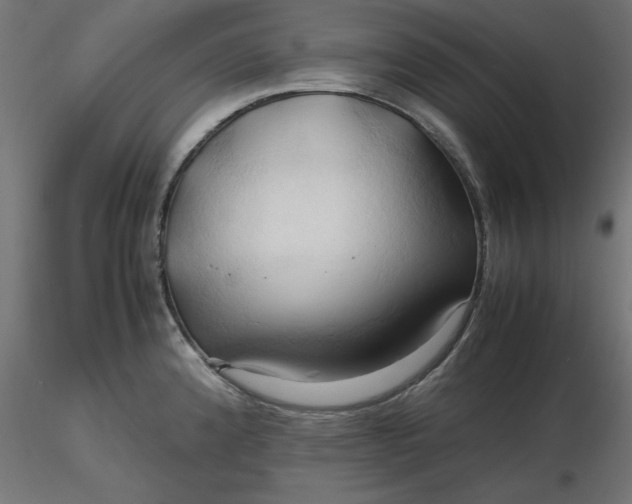 X0000116681192200912291713