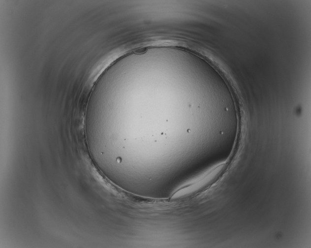 X0000116681193200912291713