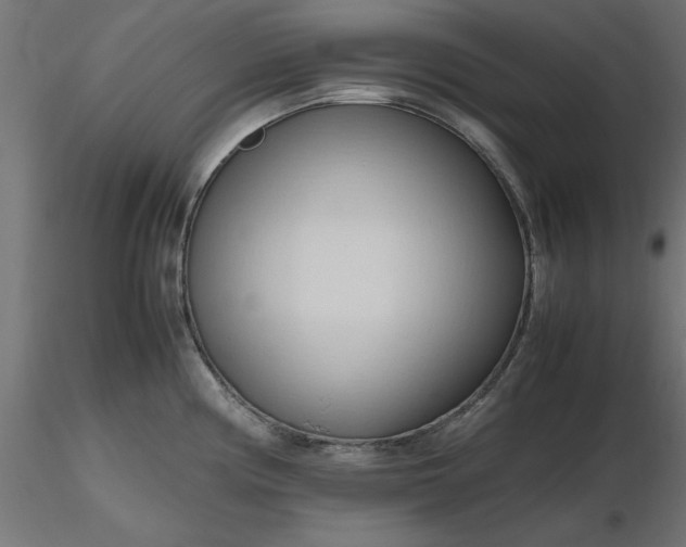 X0000116681194200912291713