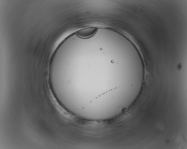 X0000116681195200912291713