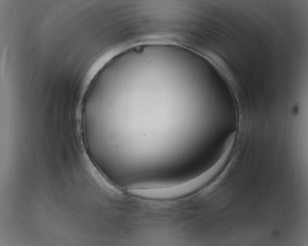 X0000116681196200912291713