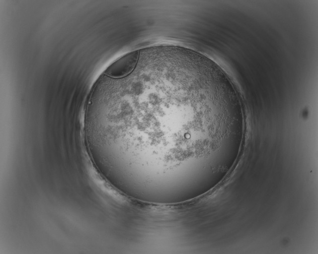 X0000116681198200912291713