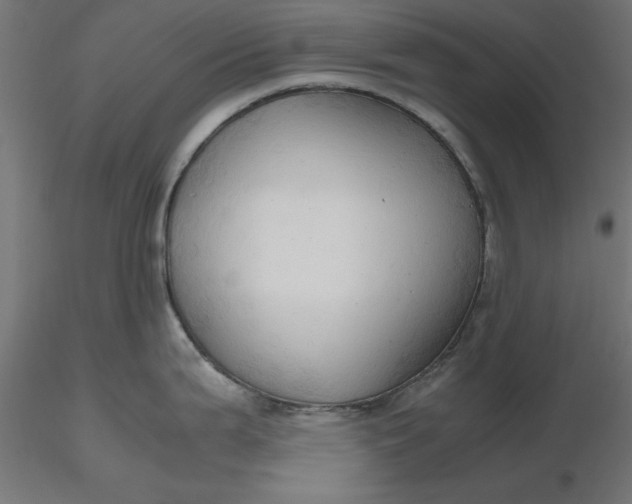 X0000116681199200912291713