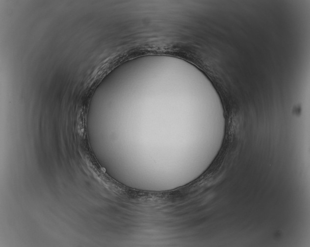 X0000116681202200912291712