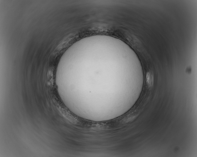 X0000116681203200912291712