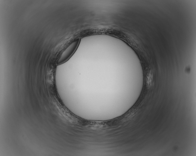 X0000116681204200912291712