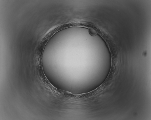 X0000116681206200912291712