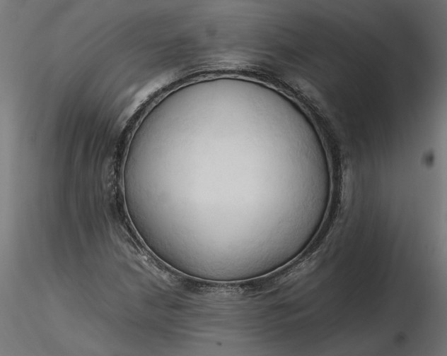 X0000116681210200912291712