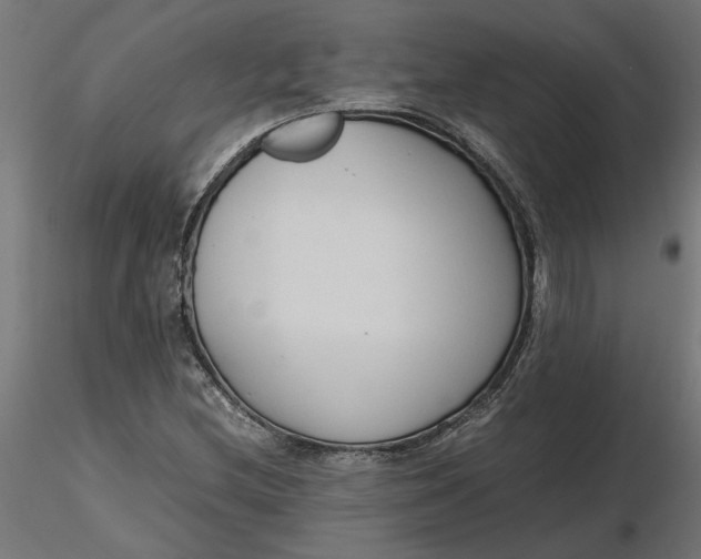 X0000116681212200912291712