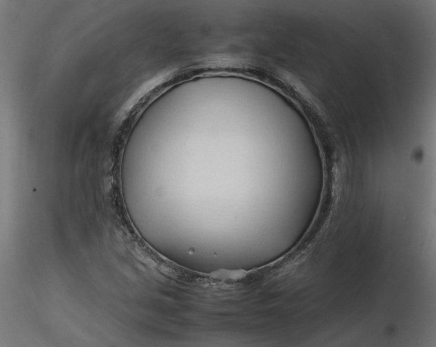 X0000116681213200912291712