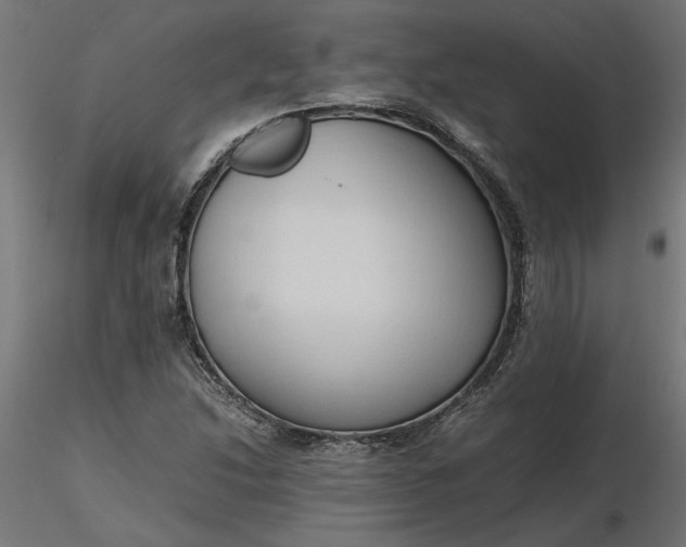 X0000116681214200912291712