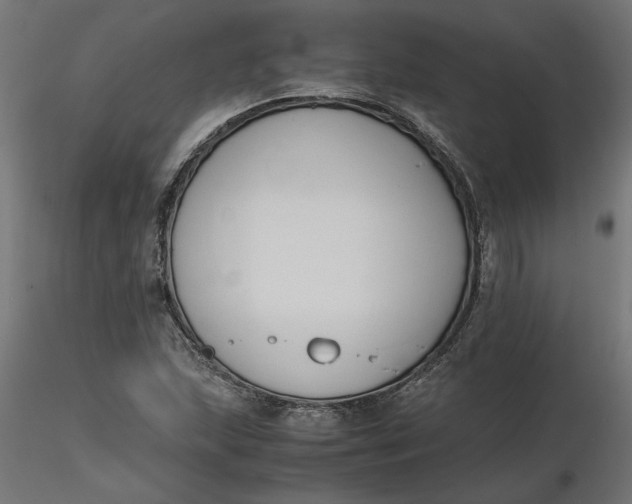 X0000116681215200912291712