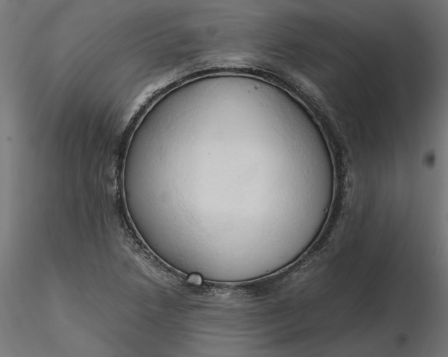 X0000116681218200912291712