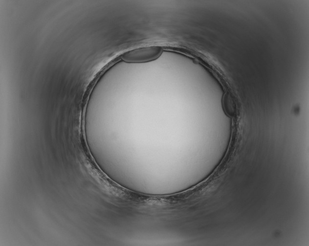 X0000116681220200912291712