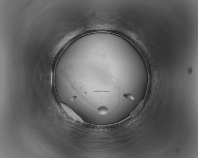 X0000116681221200912291712