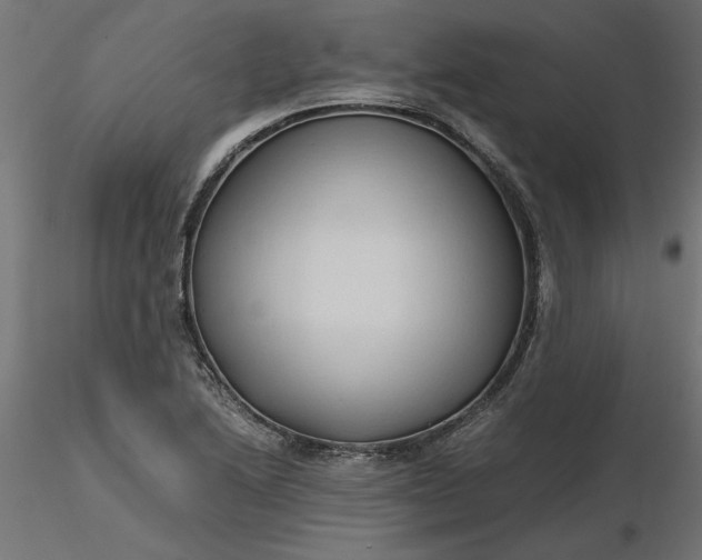 X0000116681222200912291712