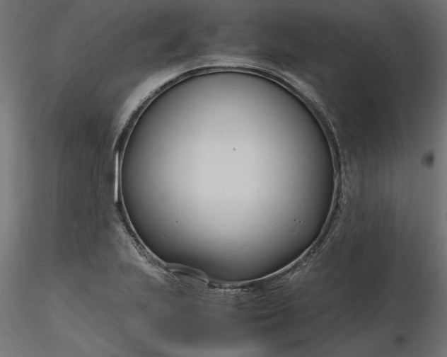 X0000116681223200912291712