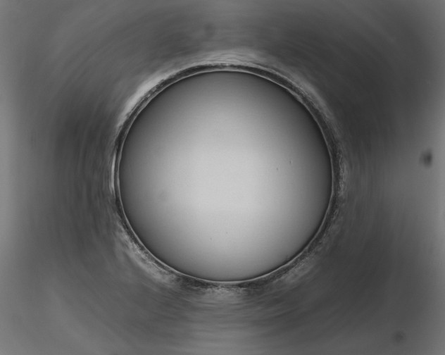 X0000116681224200912291712