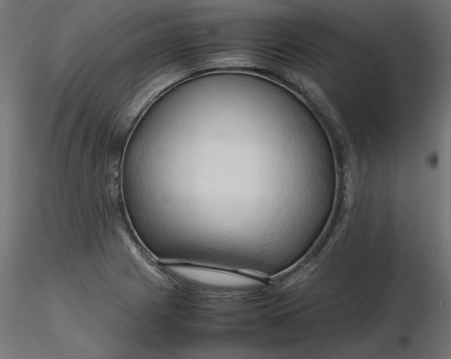 X0000116681225200912291712