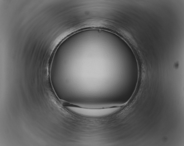 X0000116681226200912291712