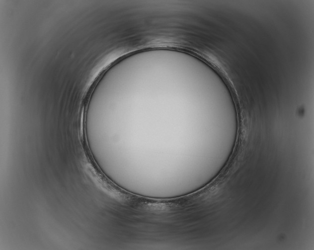 X0000116681227200912291712