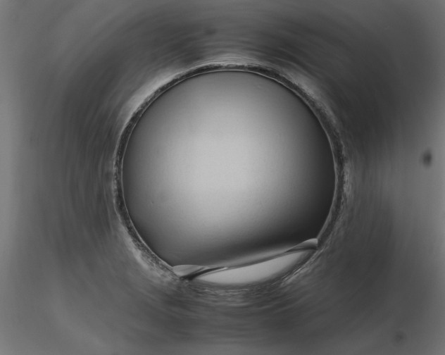 X0000116681229200912291712