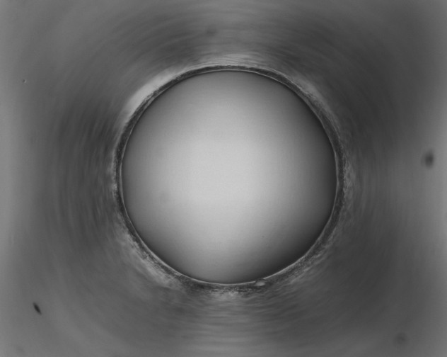 X0000116681230200912291712