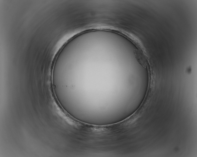 X0000116681231200912291712