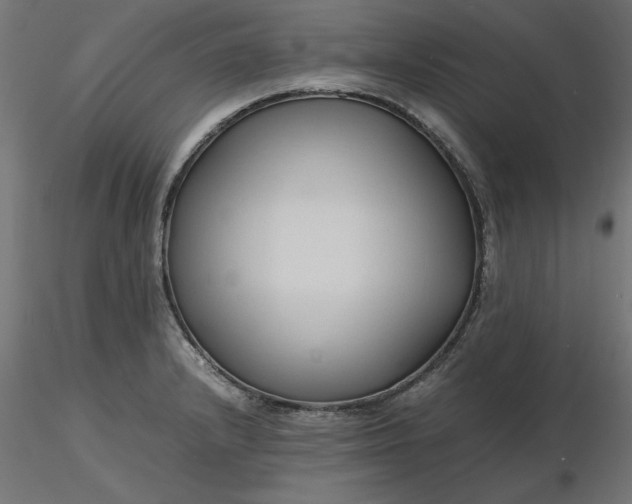 X0000116681232200912291712