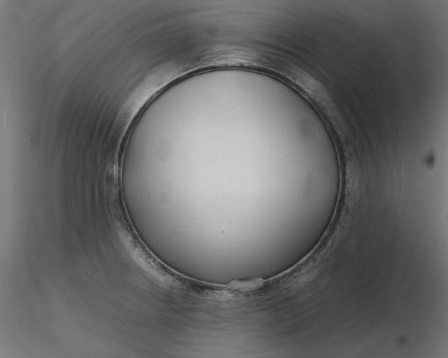 X0000116681234200912291712