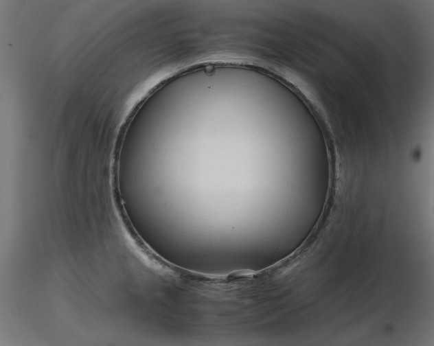 X0000116681237200912291713