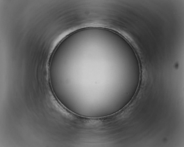 X0000116681238200912291713