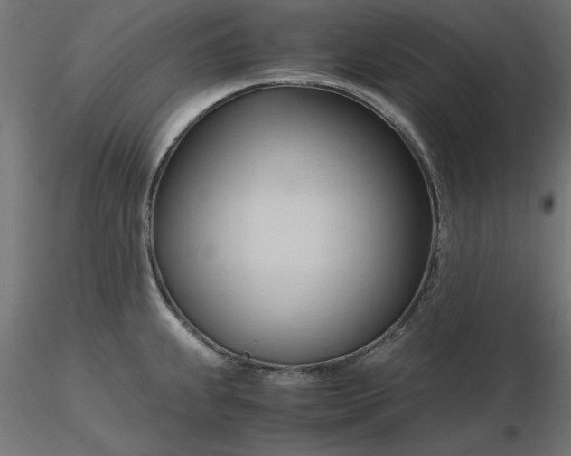 X0000116681239200912291713