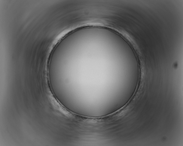 X0000116681240200912291713