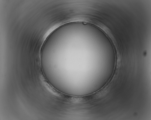 X0000116681242200912291713