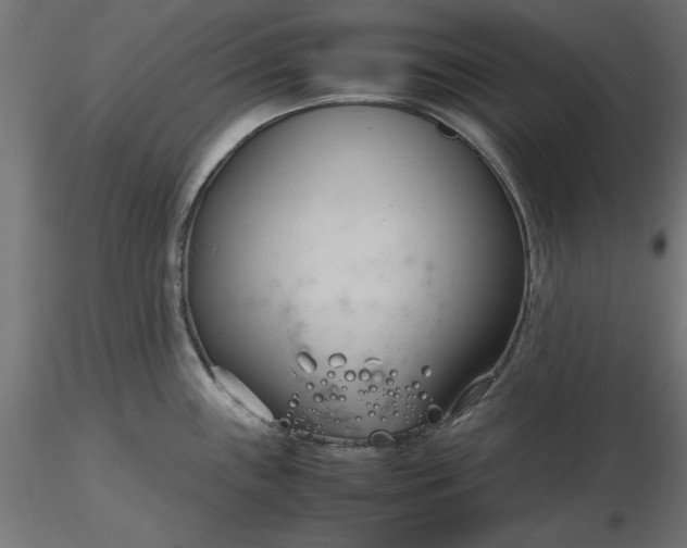 X0000116681243200912291713