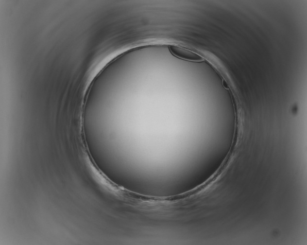 X0000116681244200912291713