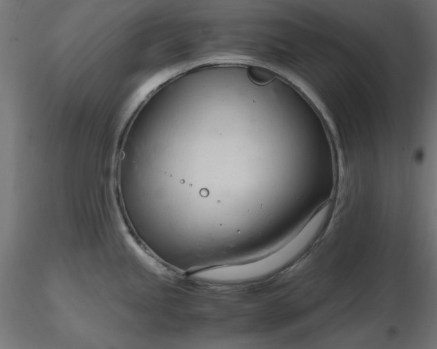 X0000116681245200912291713