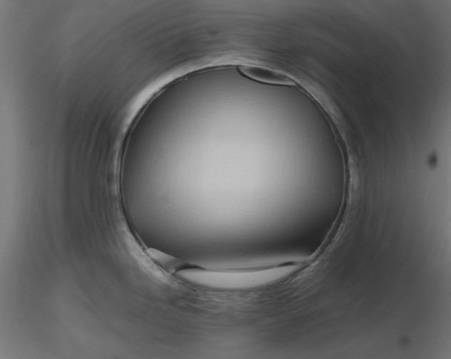 X0000116681246200912291713